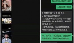 热点爆料动物短视频,短视频捕捉动物萌态瞬间