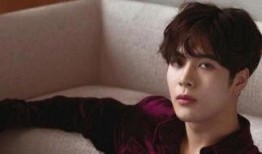 王嘉尔再度爆料视频播放,揭秘视频背后的惊人真相